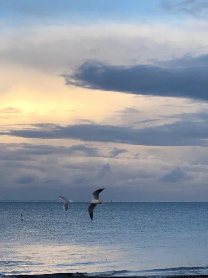 Le Spot, Appartement Spacieux A 30M De La Mer 45M2 Luc-sur-Mer Exteriör bild