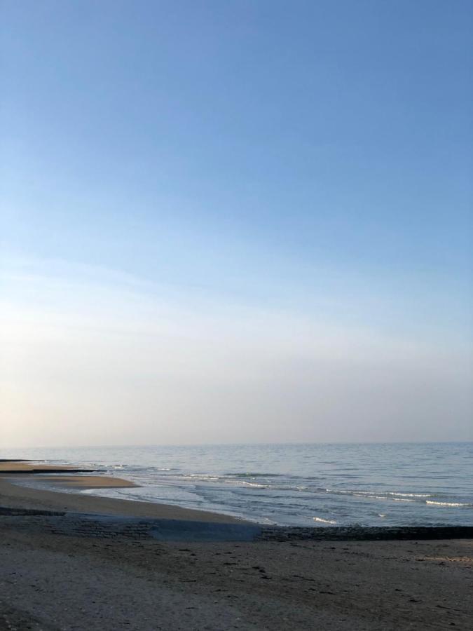 Le Spot, Appartement Spacieux A 30M De La Mer 45M2 Luc-sur-Mer Exteriör bild